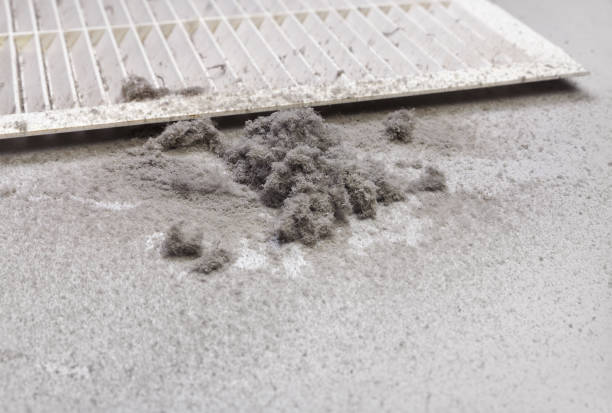Best Affordable Air Duct Cleaning  in Norton, VA